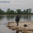 zdjęcie nr 43