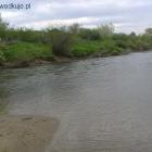 Fotka nr 2 z 7