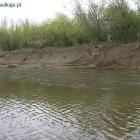 Fotka nr 5 z 7