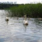 zdjęcie nr 2
