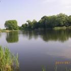 Fotka nr 4 z 9