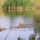 zdjęcie nr 7