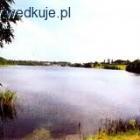 zdjęcie nr 3