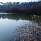 j. wysockie zarośla