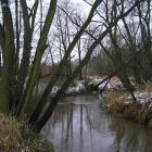 zdjęcie nr 26
