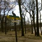 Parking j. kowalskie