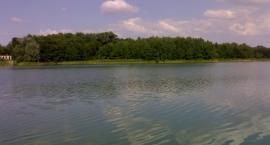 Fotka nr 0 z 6