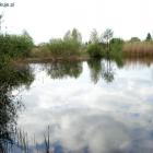 zdjęcie nr 10