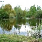 zdjęcie nr 22