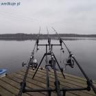 Fotka nr 1 z 5