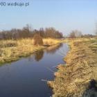 Fotka nr 1 z 5