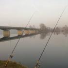 Narew - Most w Wierzbicy