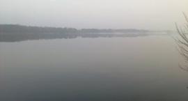 Narew - górę rzeki od Wierzbicy