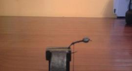 fot.1