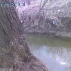 zdjęcie nr 9