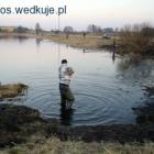 Fotka nr 1 z 12