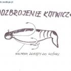 dozbrojenie trójramienną