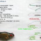 Budowa Jerka