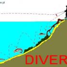 Diver