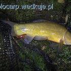 Fotka nr 1 z 3