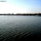 zdjęcie nr 34