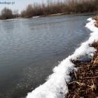 zdjęcie nr 43