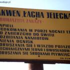 zdjęcie nr 48