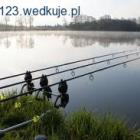 Fotka nr 1 z 4