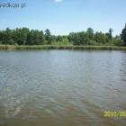 zdjęcie nr 8
