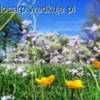 Fotka nr 4 z 5