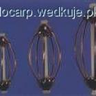 zdjęcie nr 5