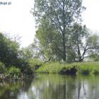 zdjęcie nr 21