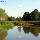 zdjęcie nr 12