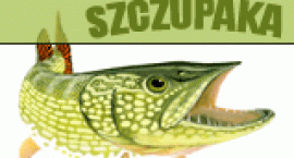 Fotka nr 0 z 4