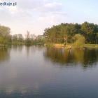 Fotka nr 5 z 13