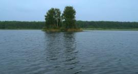 Fotka nr 0 z 13