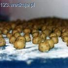 Fotka nr 3 z 6