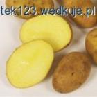 Fotka nr 1 z 3