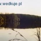 Fotka nr 4 z 6