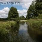 Fotka nr 1 z 6