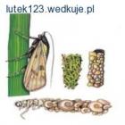 Fotka nr 1 z 9