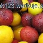 Fotka nr 4 z 9