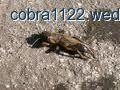 zdjęcie nr 20