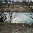 zdjęcie nr 4