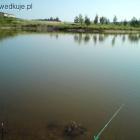 zdjęcie nr 8