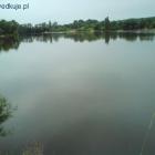 zdjęcie nr 20