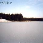 BORÓWNO WIELKIE