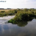 Krzna Kijowiec 3