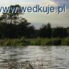 Fotka nr 2 z 7