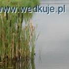 Fotka nr 5 z 7